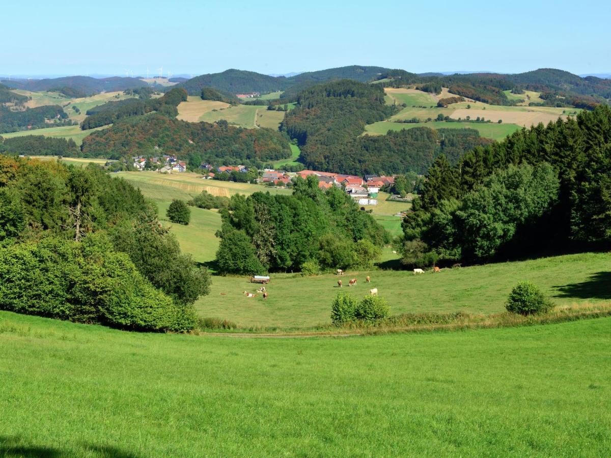 Holiday In The Sauerland Region In Unique Location Willingen  Exterior photo